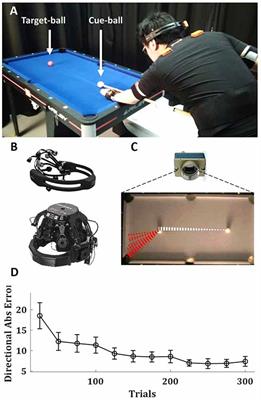 Brain Activity Reveals Multiple Motor-Learning Mechanisms in a Real-World Task